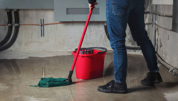 Best Ceiling water damage repair  in Ava, MO