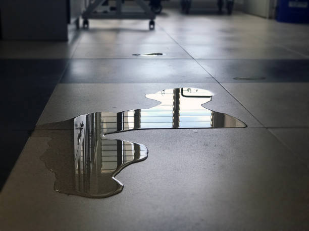 Best Water damage restoration process  in Ava, MO