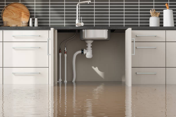 Best Emergency water damage restoration  in Ava, MO