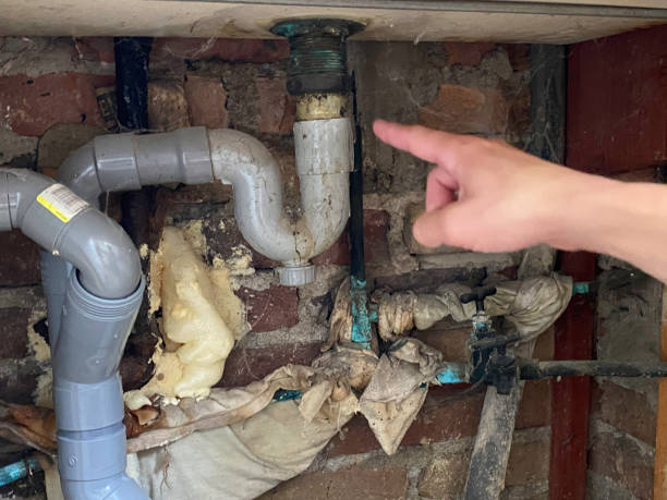 Best Emergency water extraction  in Ava, MO