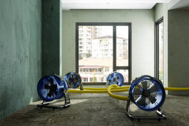 Best Water damage restoration near me  in Ava, MO