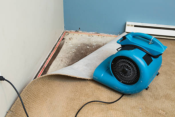 Best Residential water damage restoration  in Ava, MO
